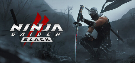 NINJA GAIDEN 2 Black PC Game Free Download - Full Version & Direct Link.