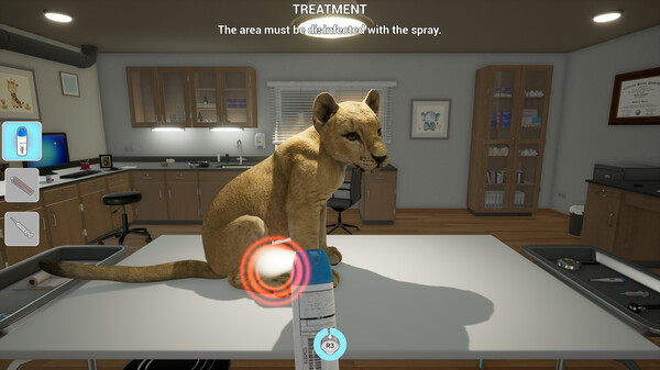 My Life: Zoo Vet gameplay featuring a zoo vet caring for animals.